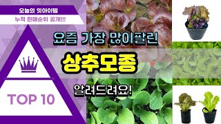 상추모종 추천 판매순위 Top10 || 가격 평점 후기 비교