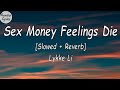 Lykke Li - Sex Money Feelings Die [Slowed   Reverb] (Lyrics Video)