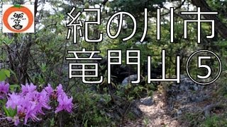 【 うろうろ和歌山 】 和歌山県 紀ノ川市 紀州富士 5 （ 竜門山 ） 龍門山 りゅうもん山 粉河町 粉河駅 山ガール の 登山