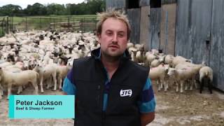 JFC Agri Sheep Foam Footbath