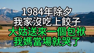 1984年除夕我家沒吃上餃子，大姑送來一個包袱，我媽當場就哭了【花好月圓心語】