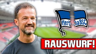 HAMMER: Fredi Bobic mit sofortiger Wirkung bei Hertha BSC ENTLASSEN! Alle Infos!