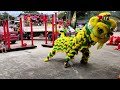 chon chu kung lion dance ranau 2022