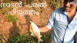 Kerala Fishing || നാടൻ പരൽ പിടുത്തം || Minnow Fishing