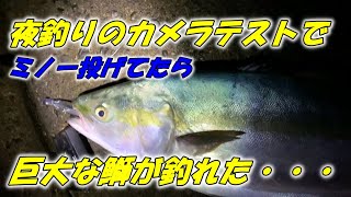 夜釣りのカメラテストしてたら巨大な鰤が釣れた・・・2021/12/05