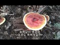 2024 9월 아산 고용산 등산