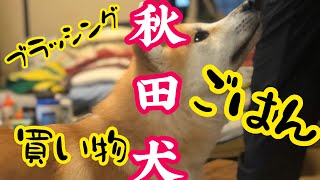 【秋田犬】あくび　ブラッシング　買い物　ごはん　Akita dog puppy