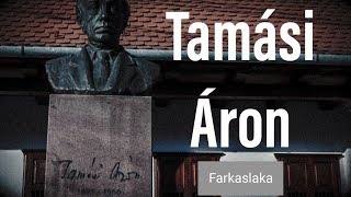 Tamási Áron (Farkaslaka)