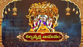 🔴LIVE : Kalpavriksha Vahanam | Tirumala Tirupati Sri Venkateshwara Swamy Bramostavalu - 2024