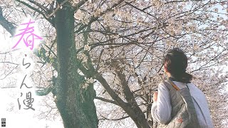 【70代シングルおばあちゃんの日常】満開！湖畔の桜、ちょっと足を延ばしてお花見行楽【vlog/シニアライフ/熟年離婚】