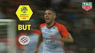 But Andy DELORT (30') / EA Guingamp - Montpellier Hérault SC (1-1)  (EAG-MHSC)/ 2018-19