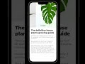 Figma carousel using smart animate