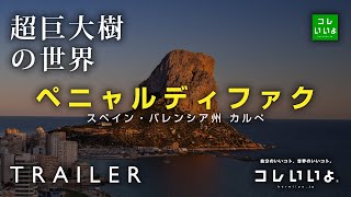 『超巨大樹の世界・予告』ペニャル・ディファク（スペイン）　コレいいよ.JP