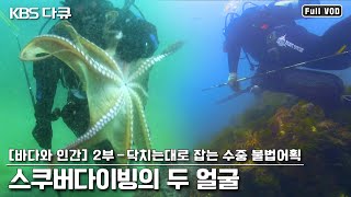 산란중인 대왕문어까지 닥치는대로 잡는다! 일부 스쿠버 다이버들의 불법어로 실태! | 환경스페셜 [바다와 인간] 2부 (KBS 120829 방송)