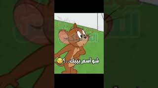 حالات واتس اب ❤️ اسم مريم  توم وجيري 💕 شو اسمك مريم 😁 الي زمان عايشة | مقاطع تيك توك