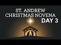 Saint Andrew Christmas Novena - Day 3 | December 2, 2024 | Advent Prayer