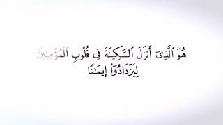 ••|📽✨  #آيـات_السكينـة // للقارئ : هـزاع البلـوشي .