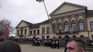 Narrenbaumstellen Narrhalla  6 Januar 2023 Hechingen