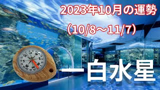 【一白水星】2023年10月の運勢！～一人で気張らずチームで頑張る