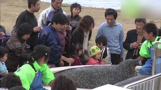 越前松島水族館 - 地域情報動画サイト　街ログ