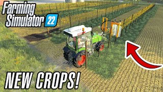 Farming Simulator 22 - NEW CROPS!