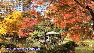 東京・日比谷公園の紅葉 2013 （2013-11-27 千代田区にて）