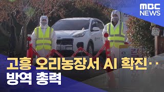 고흥 오리농장서 AI 확진‥방역 총력 (2023.12.05/뉴스데스크/여수MBC)