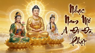 Nam Mô A Di Đà Phật - Cùng Chiêm Ngưỡng Tây Phương Tam Thánh Từ Bi