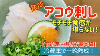 アコウの刺身を一晩熟成！下処理〜捌き方の基本動画！