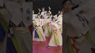 ふるさと祭り東京2023 #shorts #よさこい #ほにや