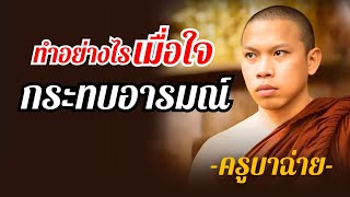 ทำอย่างไรเมื่อใจกระทบอารมณ์#ธรรมะ #ครูบาฉ่าย#สภาวะธรรม #นักรบ