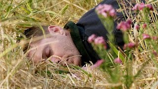 SPN\\ Дин и цветы из S11x01 LostFilm.