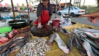 ตลาดปลาเขื่อนเจ้าพระยา จังหวัดชัยนาท ช่วงฤดูหนาว ปลาสด ๆ จากแม่น้ำเจ้าพระยา แล่ปลาสด ประเทศไทย