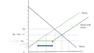 11f: the effects of an import quota