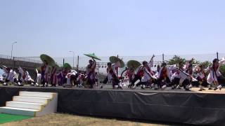 京炎 そでふれ！ 輪舞曲　犬山踊芸祭2014　石作公園　1日目