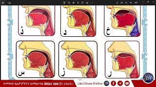 ለጀማሪዎች ቃዒደቱኑራኒያህ ከምስል ጋር ክፍል 2 በአቡ ዓቲካህ #ikhlastube2