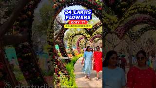 🌷FlowerShow சென்னை la Ootty ya 24Lakhs மலர்கள்🌹Semmozhi Poonga #chennai #flowershow #dg #dgstudios