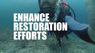 Ocean Rescue Alliance - Overview