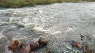 பாலாற்றில் கரைபுரண்டோடும் வெள்ளம் | Flood in Palar River Kanchipuram| Travel with me