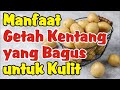 Manfaat Getah Kentang Untuk Kulit