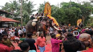 aambadi mahadevan / kizhoor pooram /2022