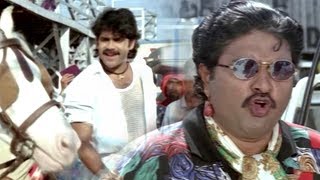 Sudhakar Comedy Scene With Nagarjuna || TFC Telugu Cinemalu