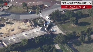 【速報】ダチョウなど57羽殺処分へ アドベンチャーワールド