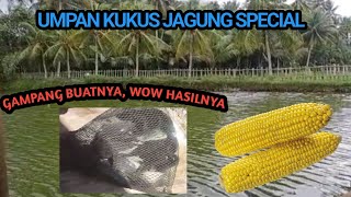 RACIKAN  UMPAN JAGUNG KUKUS SPECIAL UNTUK  IKAN MAS HARIAN,LOMBA DAN GALAPUNG