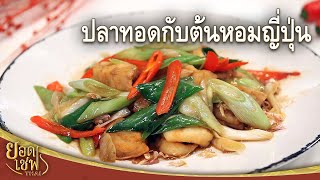 ปลาทอดกับต้นหอมญี่ปุ่น Stir-fried Fish with Japanese Bunching Onion | ยอดเชฟไทย (07-01-24)