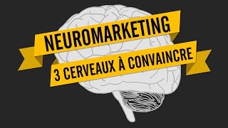 NEUROMARKETING: 3 CERVEAUX À CONVAINCRE