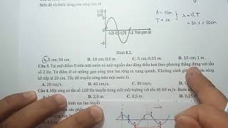 VẬT LÍ 11 - SÁCH BÀI TẬP|| BÀI 8 : MÔ TẢ SÓNG - KẾT NỐI TRI THỨC