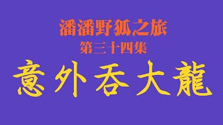 潘潘野狐之旅 第三十四集 意外吞大龍(圍棋自戰解說)