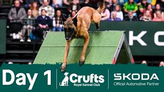 Day 1 LIVE 🔴 | Crufts 2026