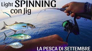 PESCO a LIGHT SPINNING CON i JIG - Settembre | Mix di catture | Pontile Trebisacce | Serra e Leccie